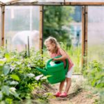 Mädchen gießt Pflanzen im Gewächshaus
