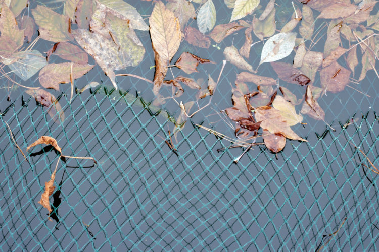 Gartenteich schützen so gehts! ⋆ Das Garten und Agrarmagazin