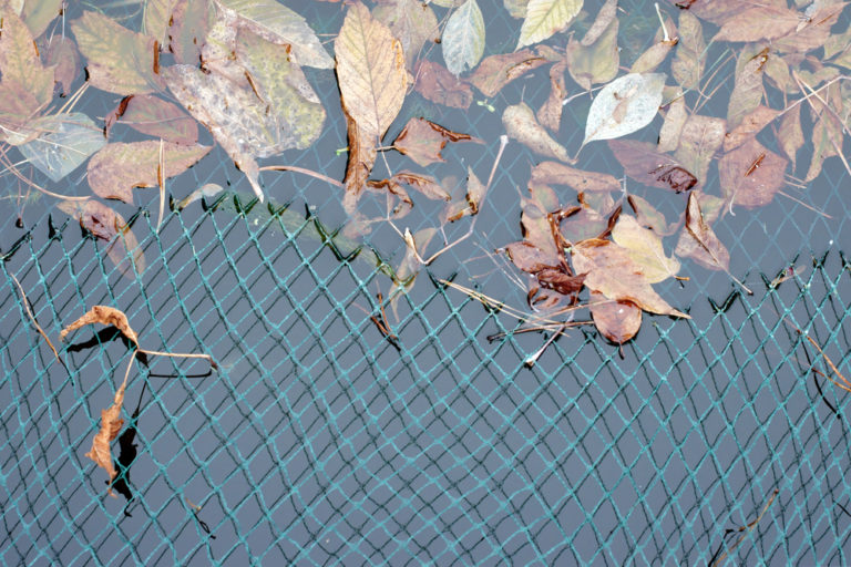 Gartenteich schützen so gehts! ⋆ Das Garten und Agrarmagazin