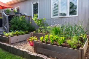Hochbeete für den Garten richtig befüllen ⋆ Das Garten und Agrarmagazin