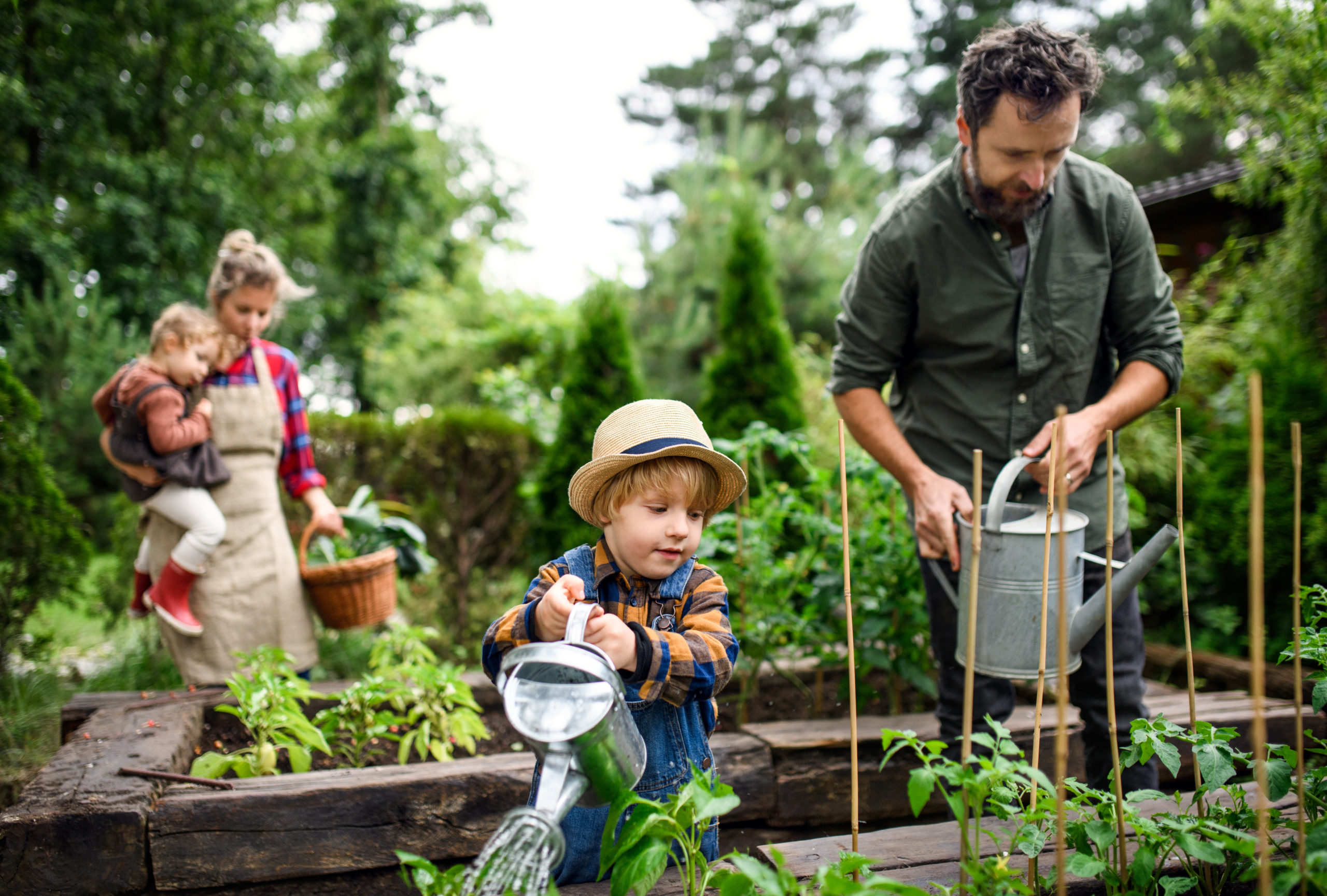 Ein eigenes Hochbeet im Garten bietet fast unzählige Vorteile. Foto ©Halfpoint stock adobe